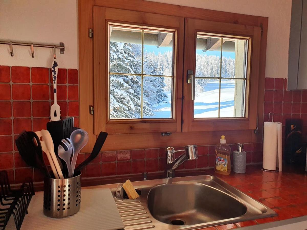 Apartament Tgampi Saura 395 Rue Lenz Zewnętrze zdjęcie